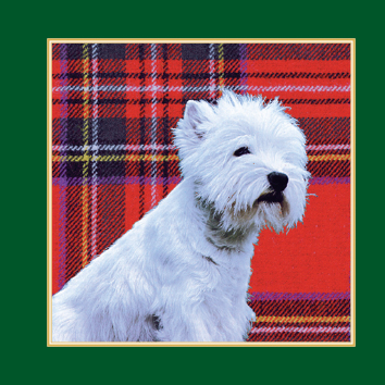 Westie Tartan Notebook