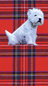 Smarty Scottie Tote